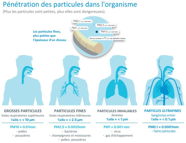 Filtre à particules ➜ définition, entretien et législation - Ornikar