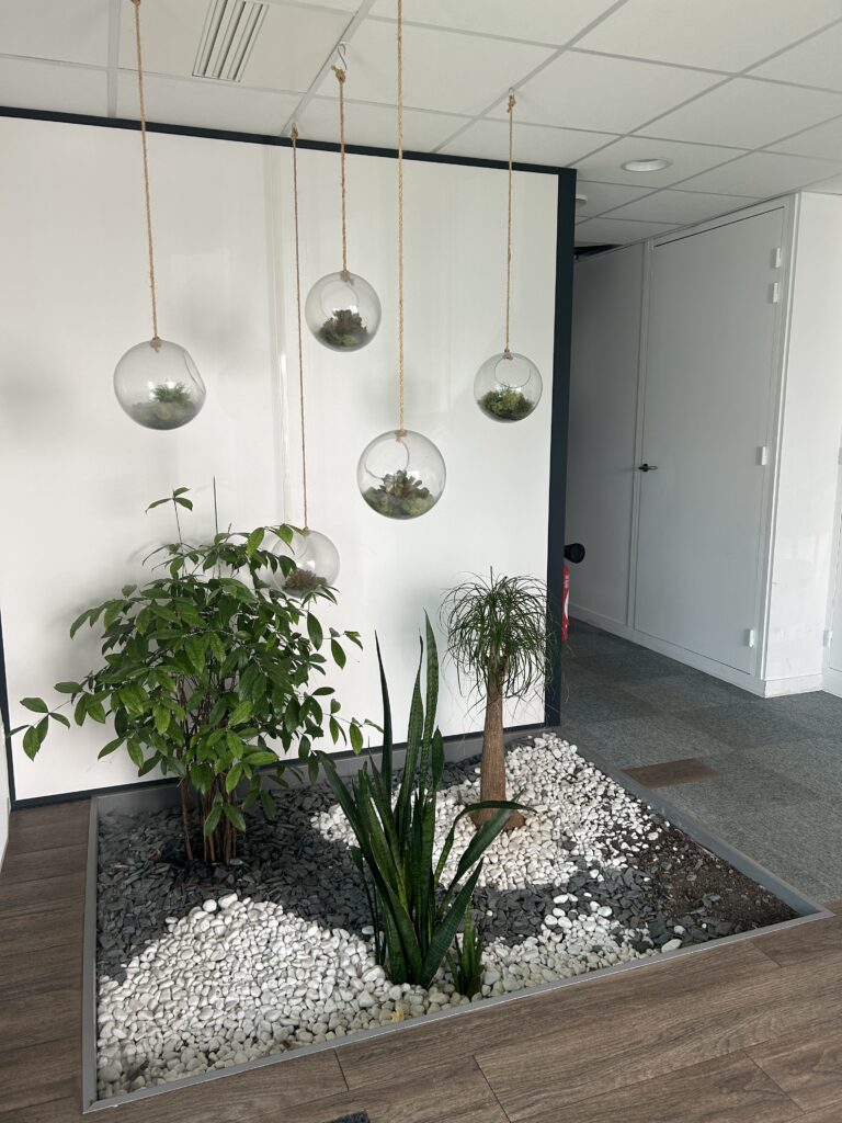 Entrée